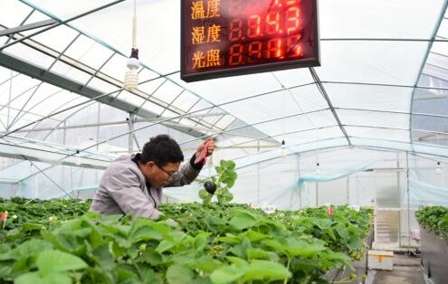 陜西溫室大棚廠家